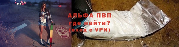 шишки Краснотурьинск