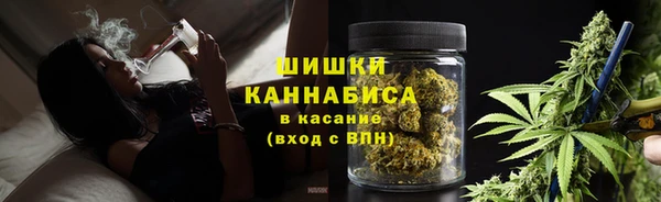 крисы Дмитриев