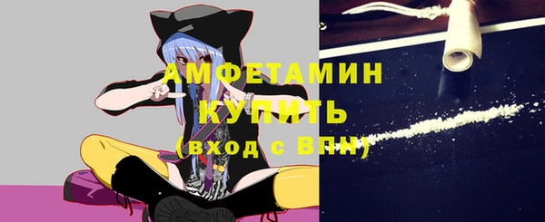 шишки Краснотурьинск