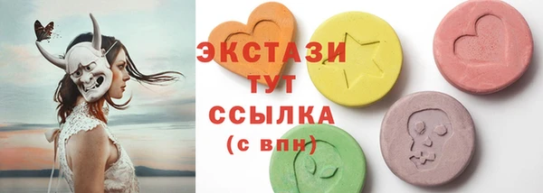 прущие грибы Новосибирск