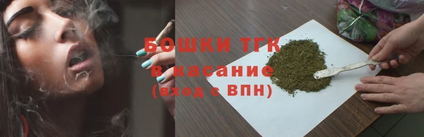шишки Краснотурьинск