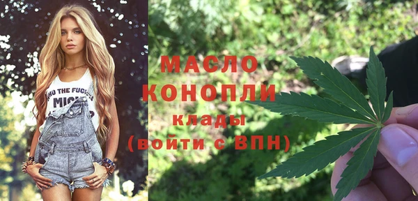 твердый Дмитров