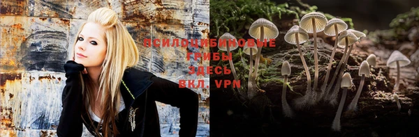 a pvp Краснослободск