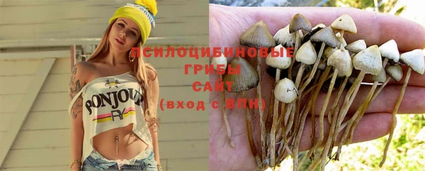 a pvp Краснослободск