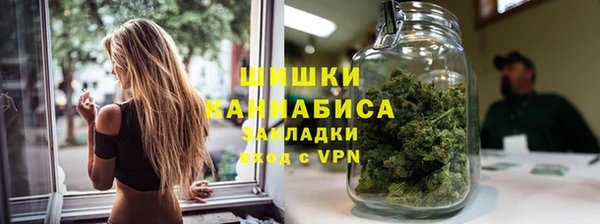 стаф Гусев