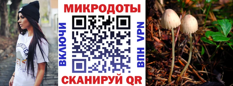 Галлюциногенные грибы Psilocybe  Жирновск 